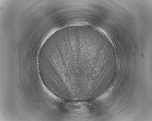 X0000059250851200510281954