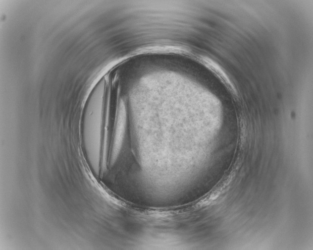 X0000059250852200510281954