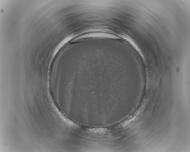 X0000059250853200510281954