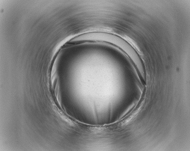 X0000059250854200510281954