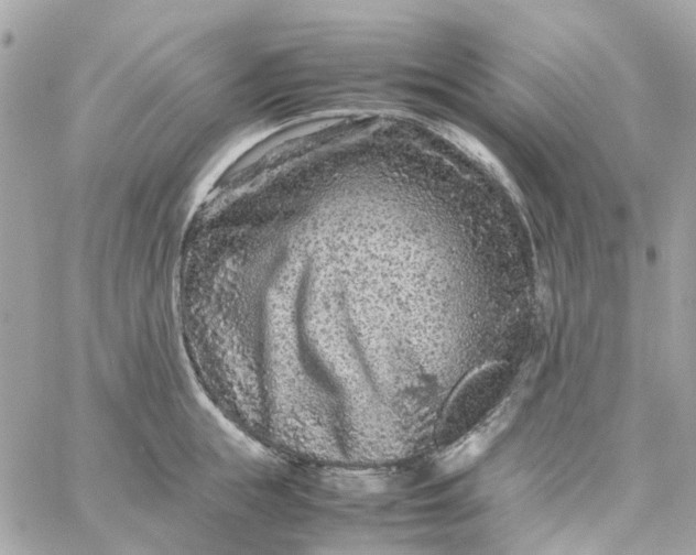 X0000059250855200510281954