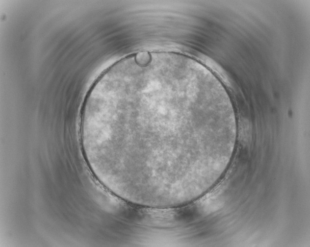 X0000059250856200510281954