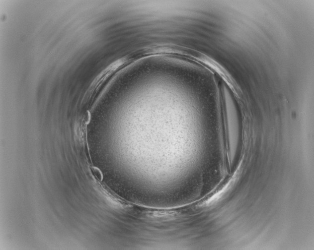 X0000059250857200510281954