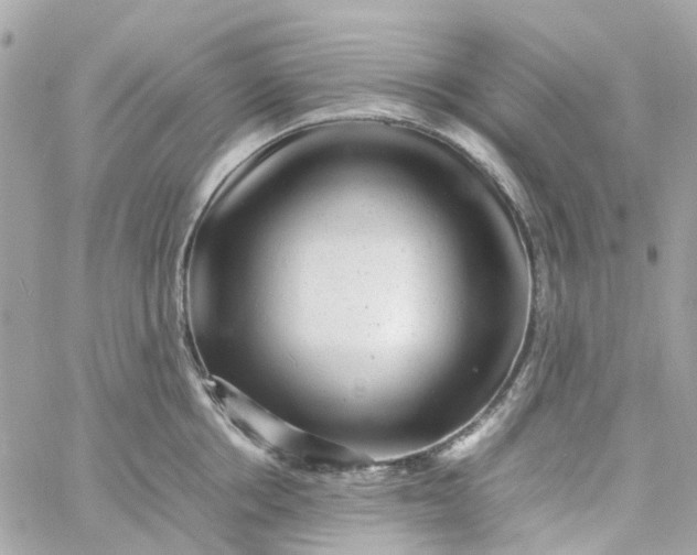 X0000059250858200510281954