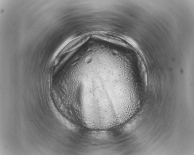 X0000059250859200510281954