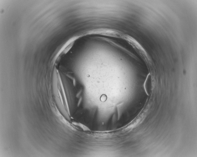 X0000059250860200510281954