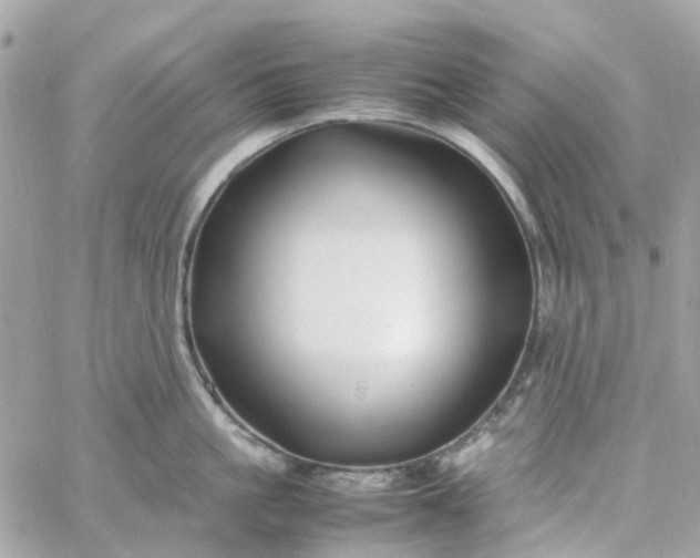 X0000059250861200510281954