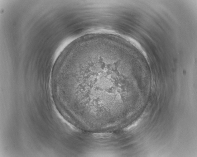 X0000059250863200510281954