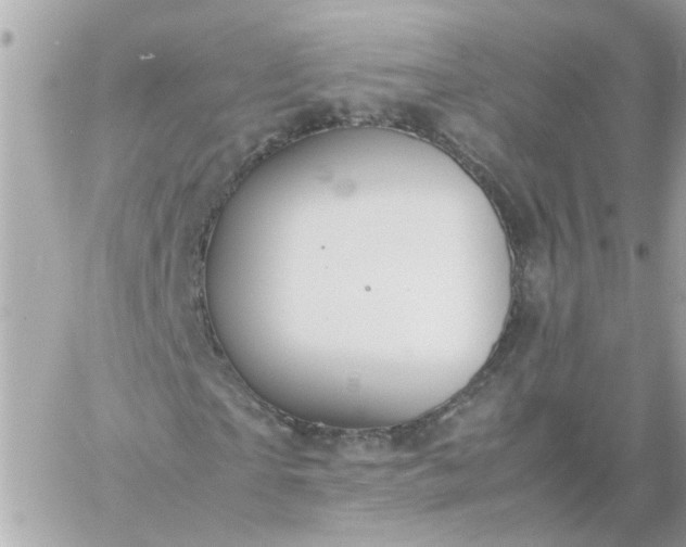 X0000059250865200510281953