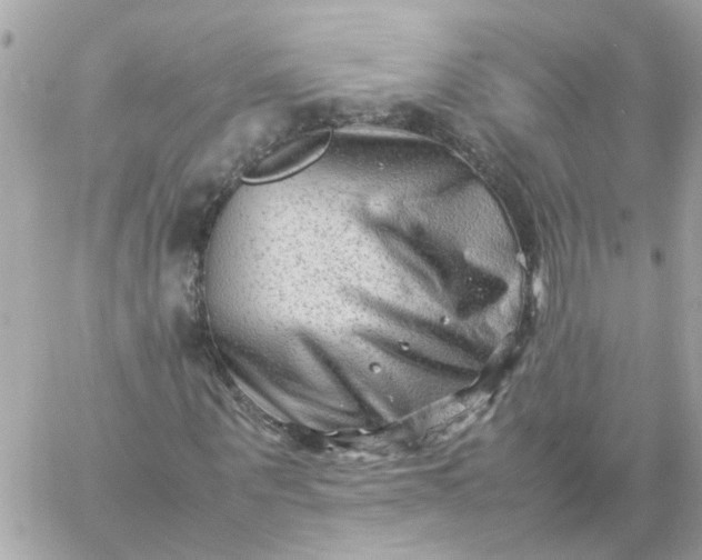 X0000059250867200510281953