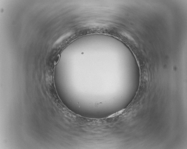 X0000059250869200510281953