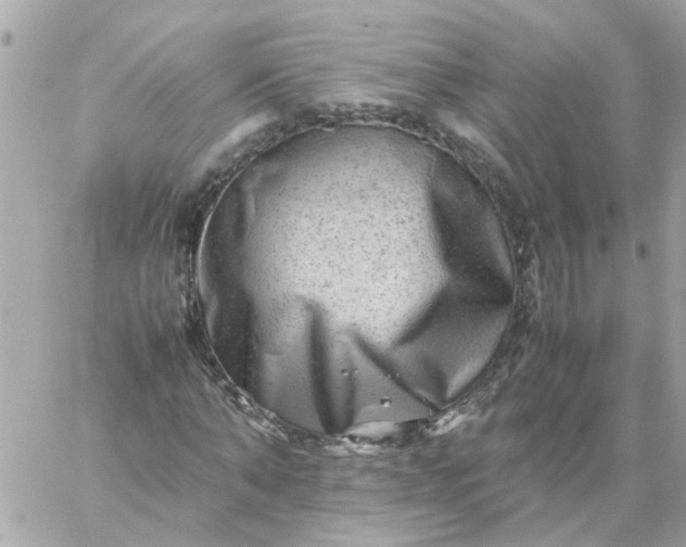 X0000059250870200510281953