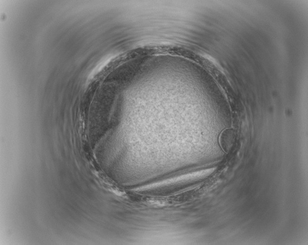 X0000059250871200510281953