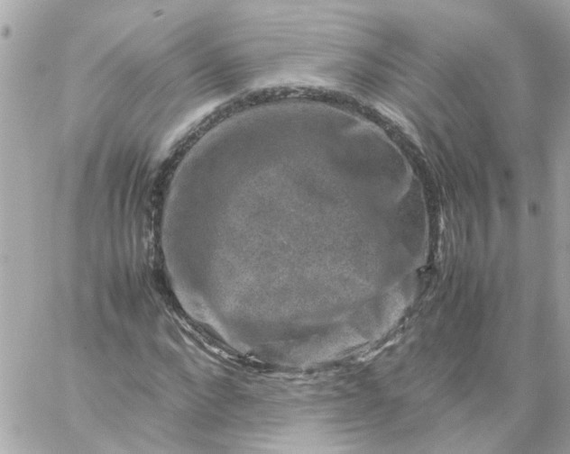 X0000059250872200510281953