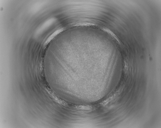 X0000059250874200510281953