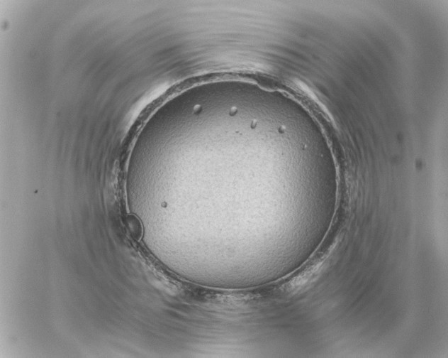 X0000059250875200510281953