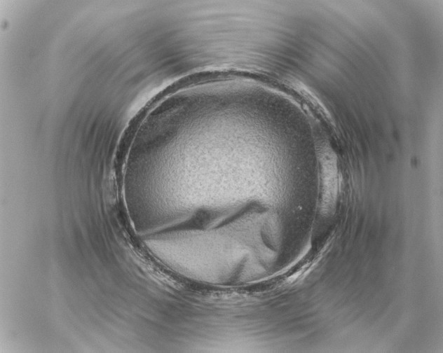 X0000059250876200510281953