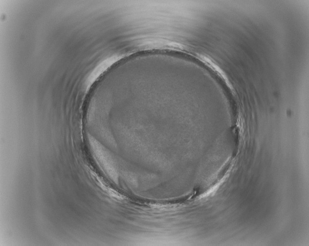 X0000059250877200510281953