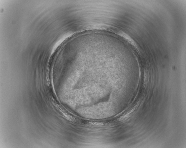 X0000059250878200510281953