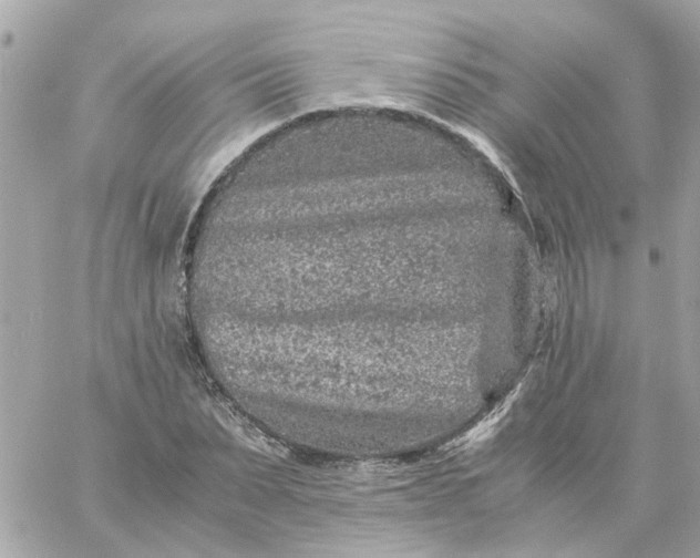 X0000059250879200510281953