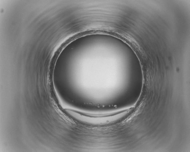 X0000059250880200510281953