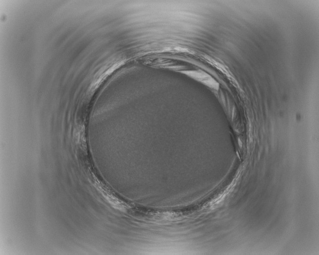 X0000059250881200510281953