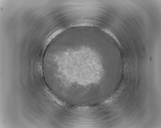 X0000059250882200510281953