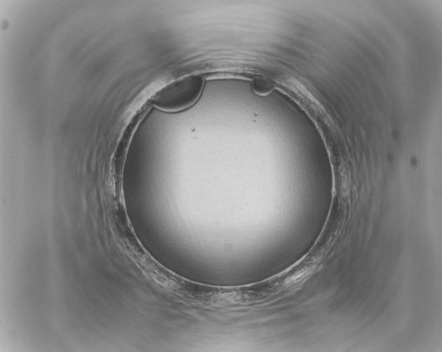 X0000059250883200510281953