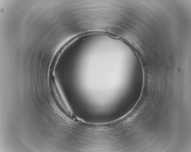 X0000059250884200510281953