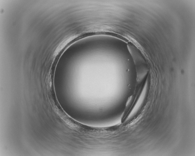 X0000059250885200510281953