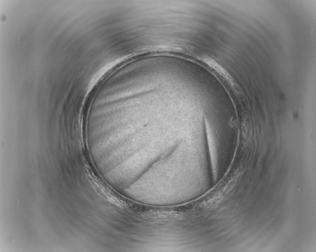 X0000059250886200510281953