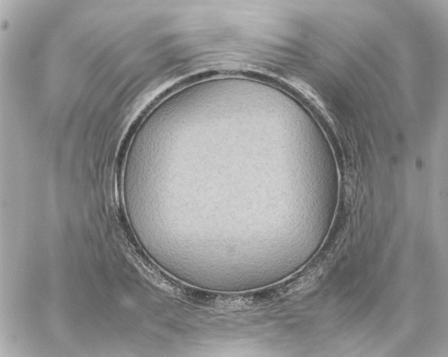 X0000059250887200510281953