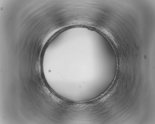 X0000059250888200510281953