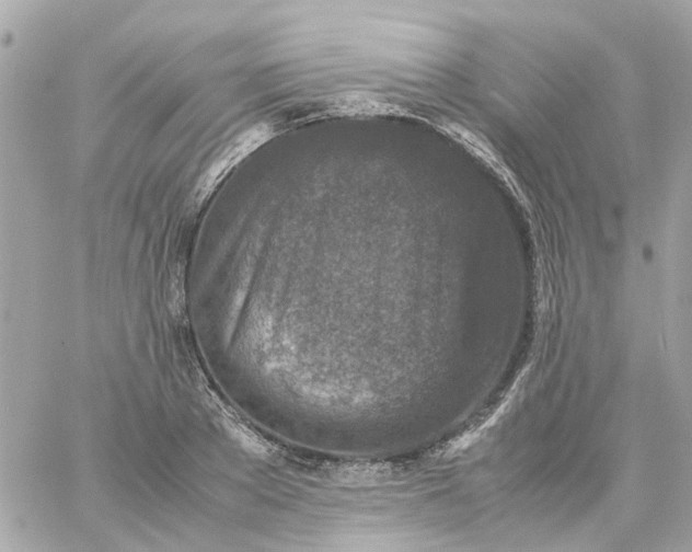 X0000059250889200510281953