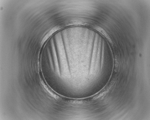 X0000059250890200510281953