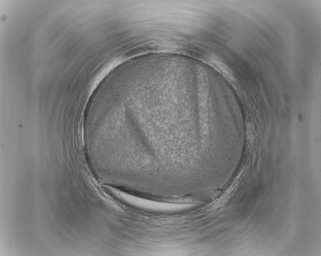 X0000059250891200510281953