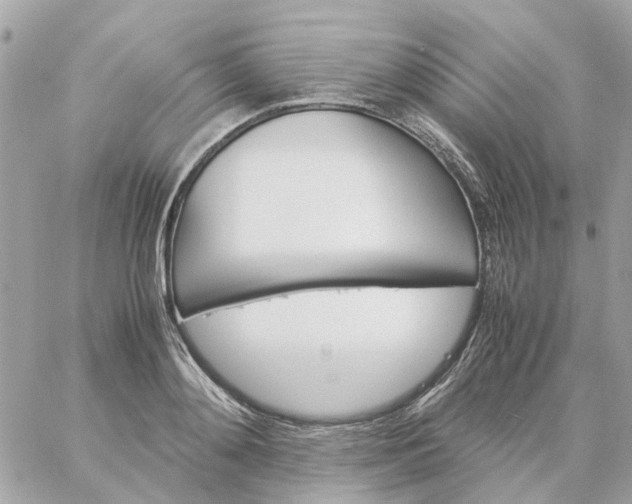 X0000059250892200510281953