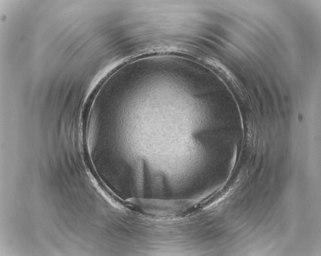 X0000059250894200510281953