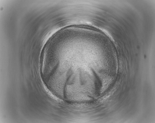 X0000059250895200510281953