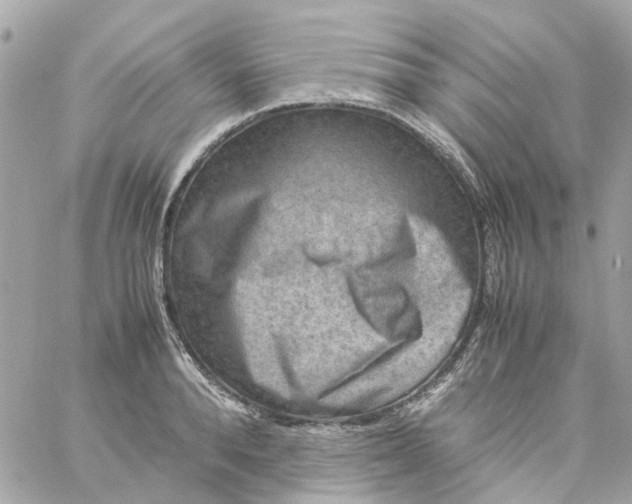 X0000059250896200510281953