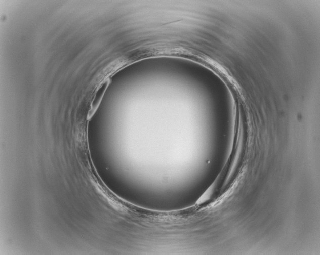 X0000059250897200510281953