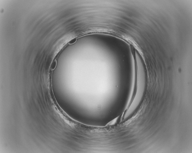 X0000059250898200510281953