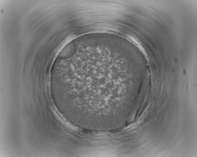 X0000059250899200510281953