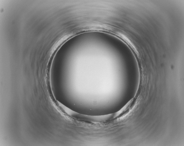 X0000059250901200510281953