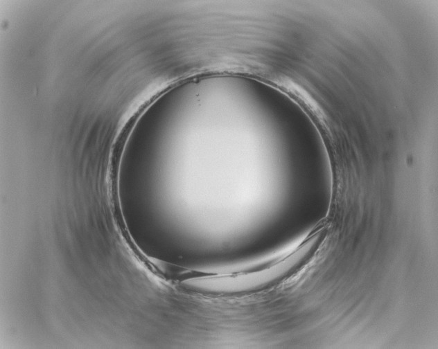 X0000059250902200510281953