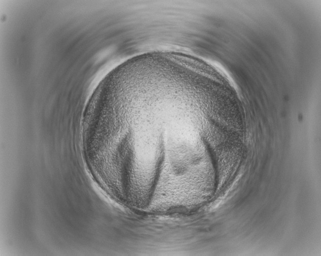 X0000059250903200510281953