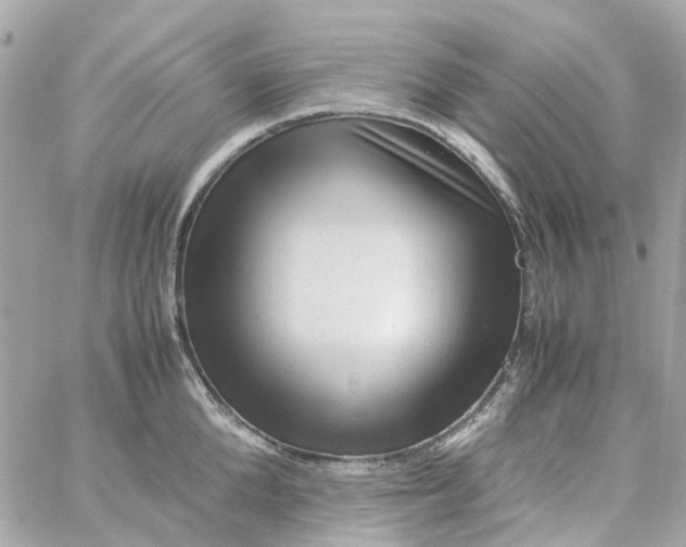 X0000059250904200510281953