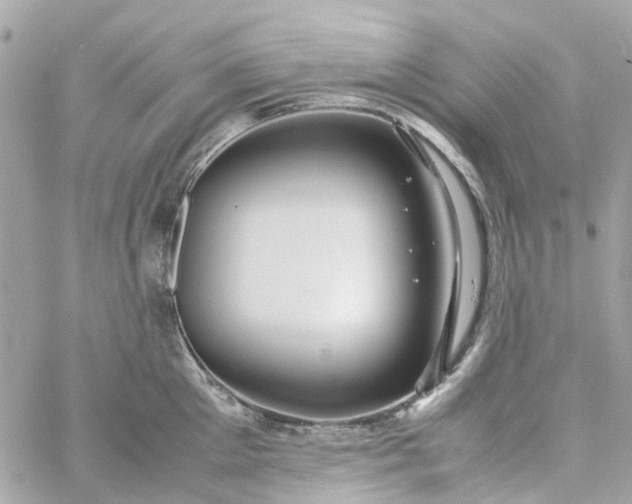 X0000059250905200510281953