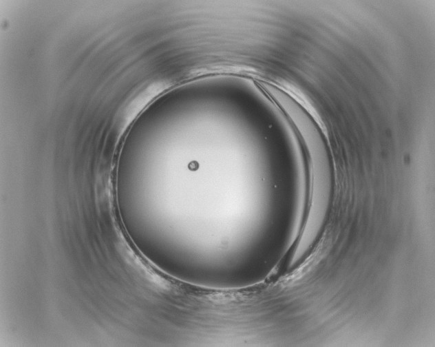 X0000059250906200510281953