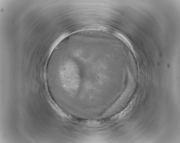 X0000059250907200510281953